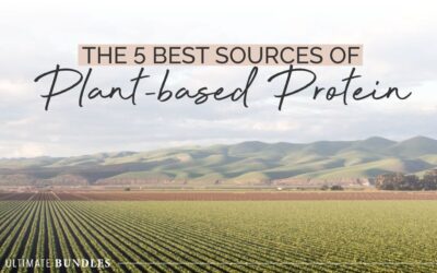 The 5 Best Sources of Plant-based Protein
