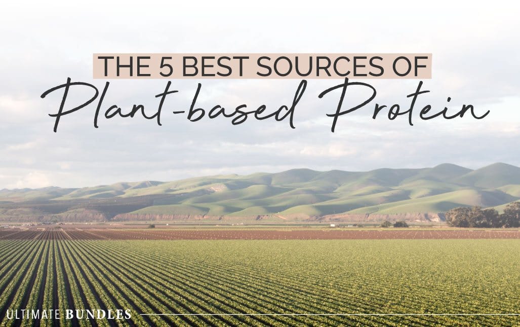 The 5 Best Sources of Plant-based Protein