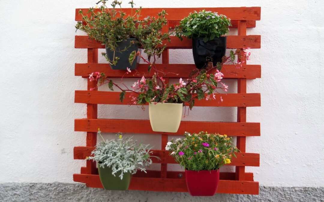 Creating a Vertical Garden Indoors: Techniques for Building a Vertical Garden in Small Spaces